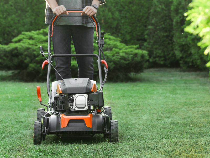 Mow the lawn
